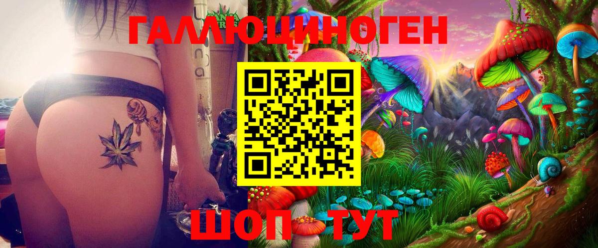 Псилоцибиновые грибы Cubensis  Псилоцибиновые грибы MAGIC MUSHROOMS  Вход с VPN  Котовск 