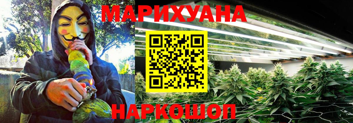 Конопля OG Kush Котовск